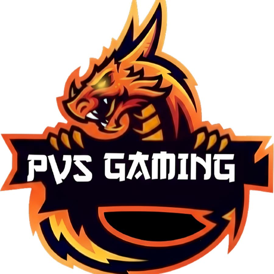 PVS GAMING profile image