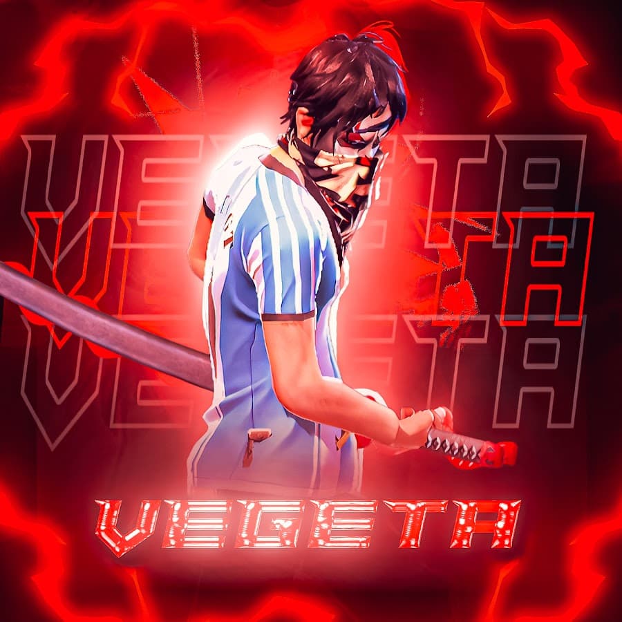 Vg Vegeta profile image